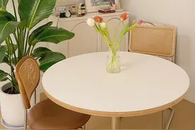 下次再买餐桌，一定坚持“3不选”，不是固执，全是经验和教训图片