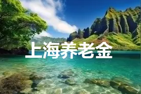 上海企业职工养老金的计算方法图片