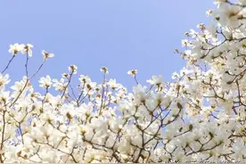 培养“自带财气”的15个习惯图片