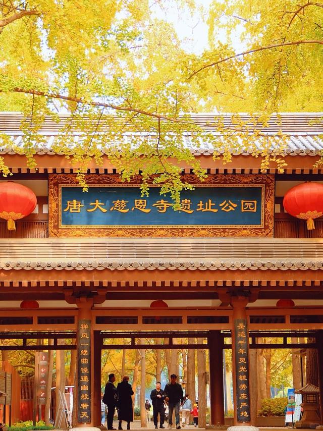 西安周末游丨这8个免费赏银杏叶好去处