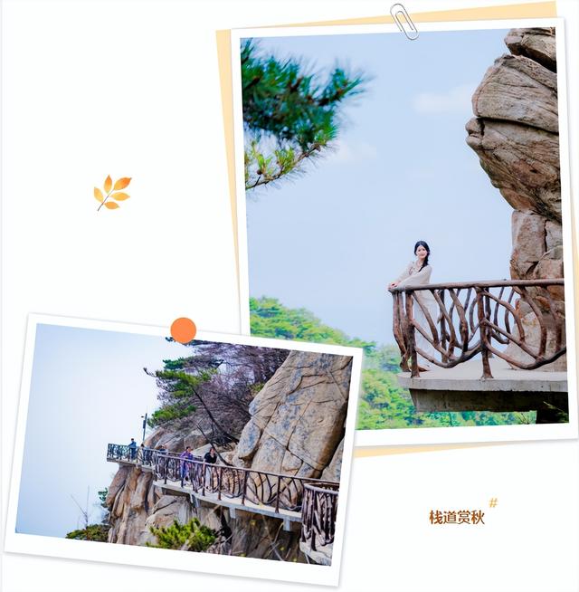 重阳节，在临沂这样过——9.9元景区特惠、赏菊、登高、祈福……