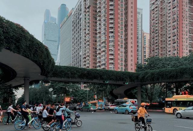 有高人预测，十年后大学生毕业就业，有可能是这样的？