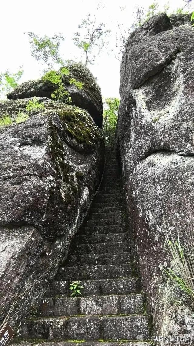 温州酷暑哪里有清凉,当然永嘉四海山!
