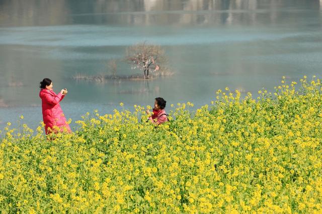 别等春天！陇南的冬日密语里，藏着限定版春日烂漫