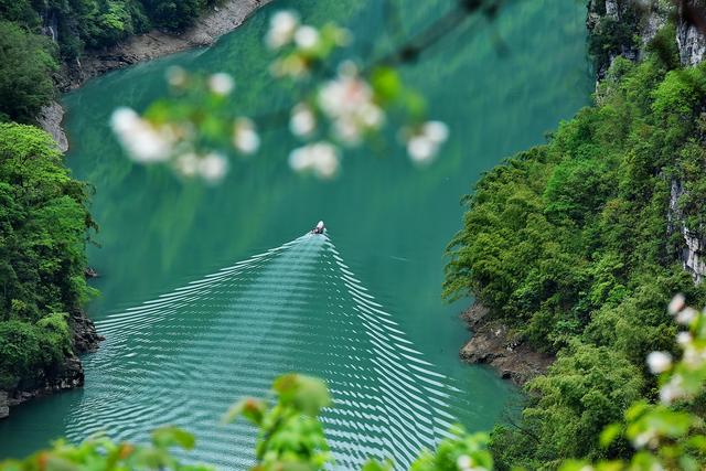 重庆市酉阳县历史沿革及行政区划