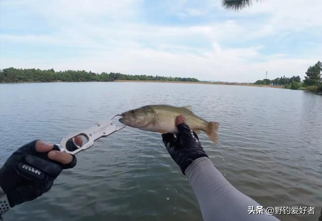 新手如何使用路亚竿？全套保姆级教程助你快速上手，轻松拿捏！