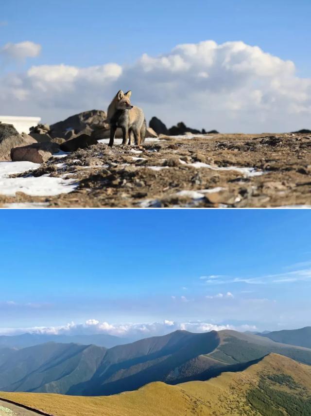 六天五夜！五台山深度游全攻略，从千年古刹到绝美台顶一网打尽！