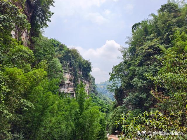 成都徒步（66）·邛崃篇⑥皮缝峡谷·皮缝古道