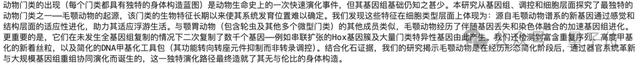 实测DeepSeek V3.1，不止拓展上下文长度