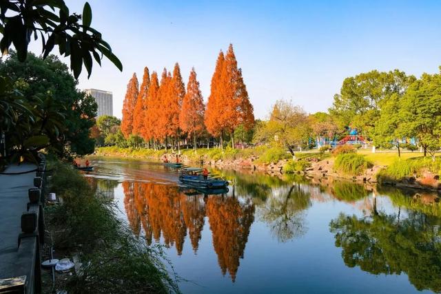 富阳这里，获评五星级！