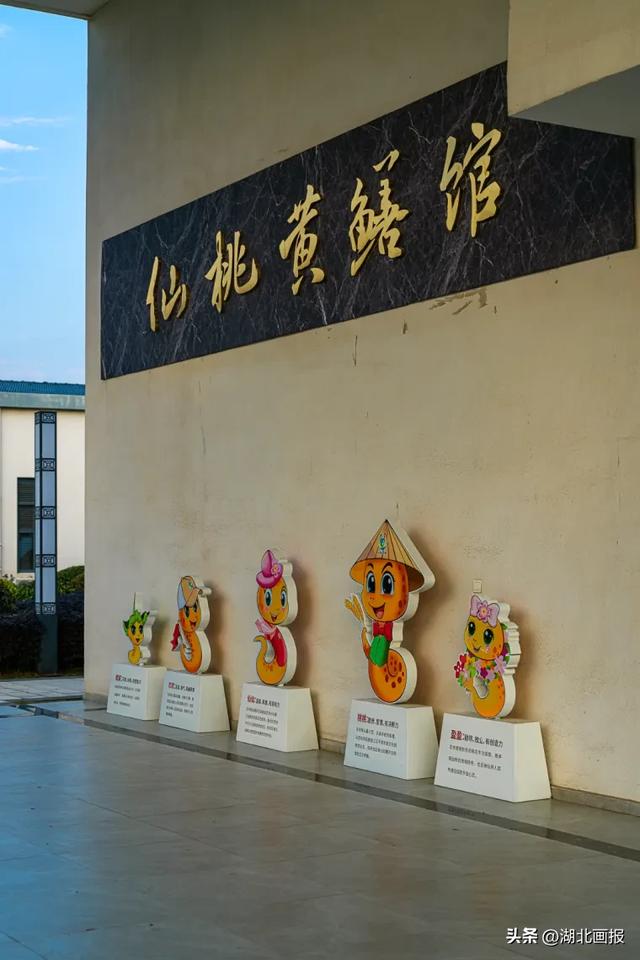 【知音湖北】“知音湖北超级文旅日,网络大v17寻味仙桃”活动圆满收官