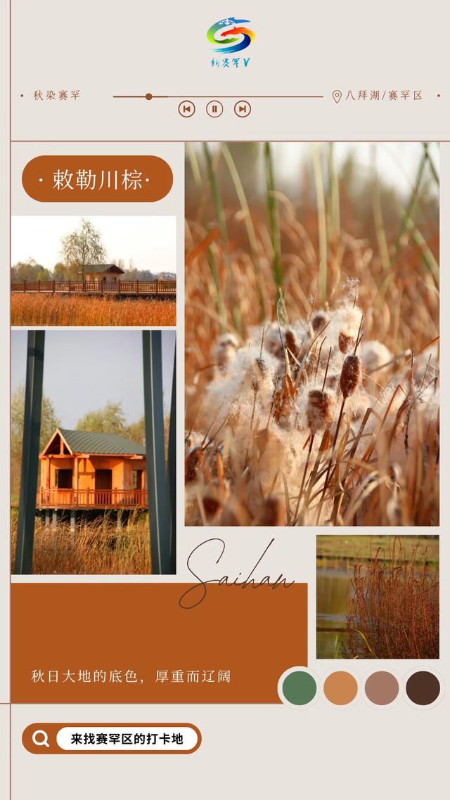 北疆文化 遇鉴赛罕 | 赛罕秋日色彩定义