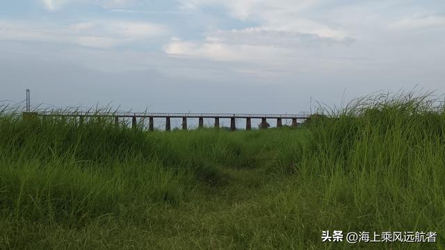 别再找秋天的海了！南京溧水这片草海才是顶流，我已去过了