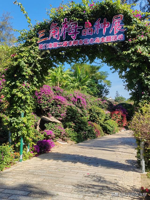 厦门植物园：邂逅自然的绮梦