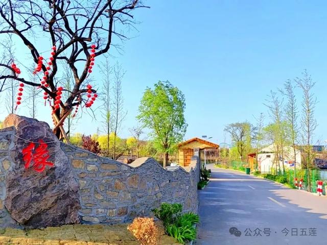 这一天咋过，五莲安排好了！