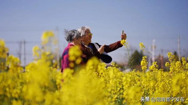 避暑+康养！10万游客的夏日天然“凉”方在这里——