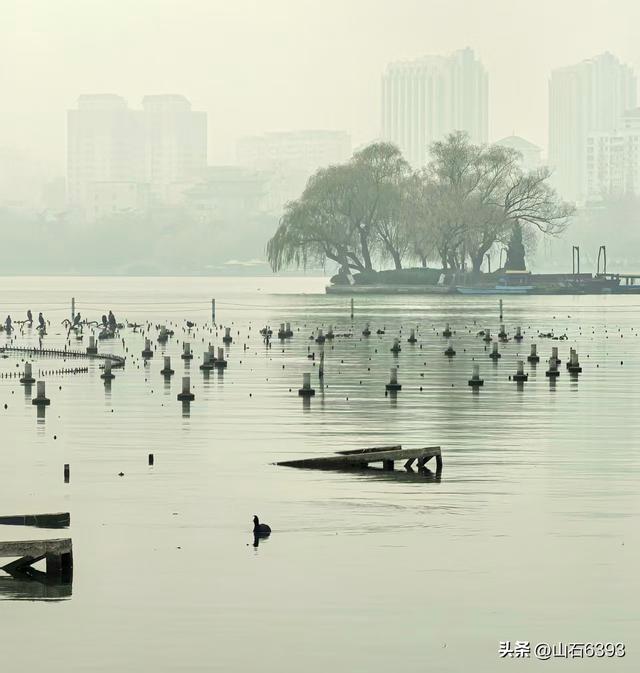 新华社原军事记者陶俊峰泉城美拍：《冬雾中的大明湖》