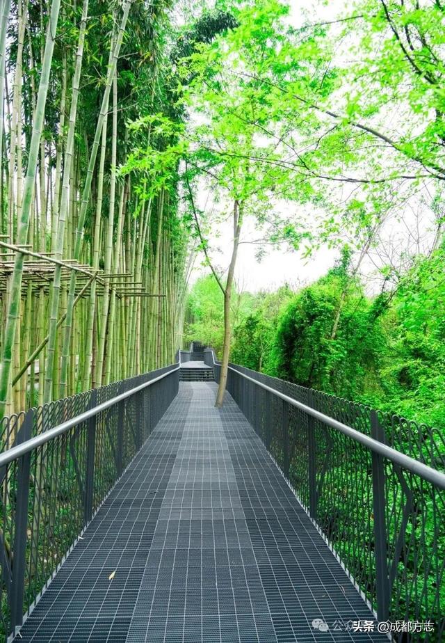 这条5公里旅游专线，串起成都N个好耍地！