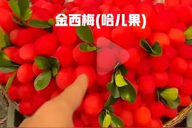 继315，水果也塌房了！5大“科技果”正流向餐桌，你家娃可能吃过图片