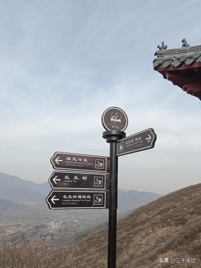 无为在歧路，冬日鹤伴山