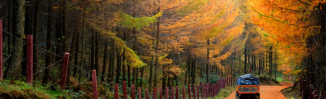 四川省朝天区历史沿革及行政区划