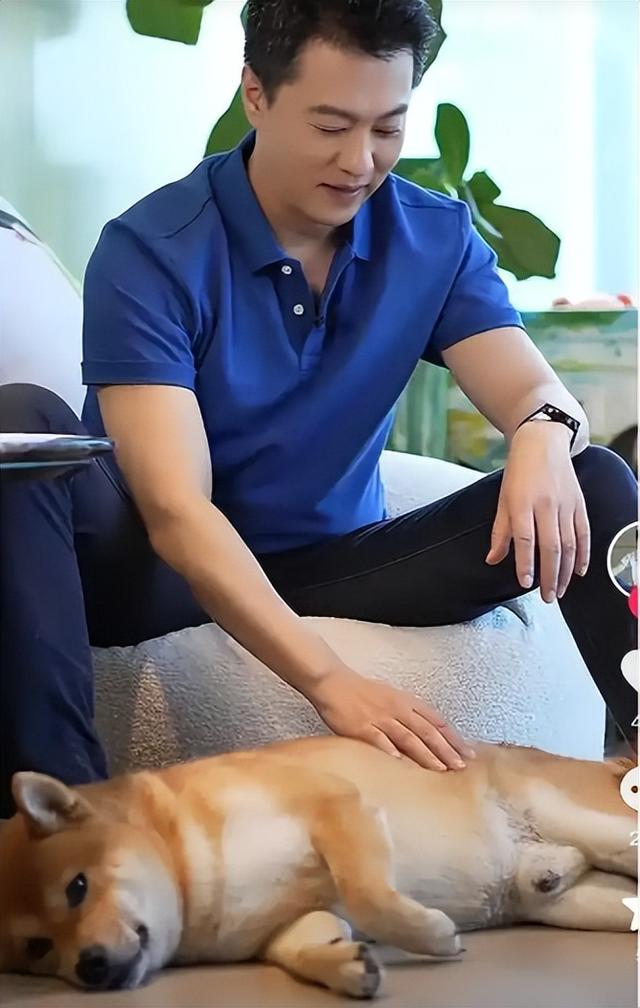 从确诊到去世仅15天	，“央视最帅主持人”的遭遇为人们敲响警钟