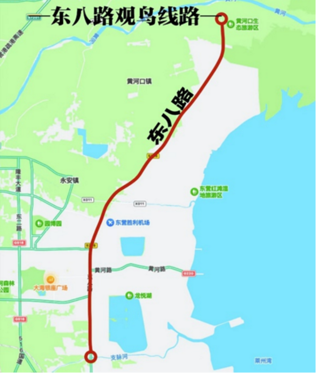 黄河入海 大美垦利 | 东营垦利观鸟贴心攻略