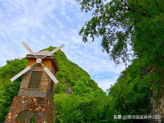 九月的黑河,一半是山野的绿意,一半是秋天的凉风