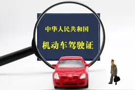 机动车驾驶证（公安部）、运输从业资格证（交通部）扣分标准图片