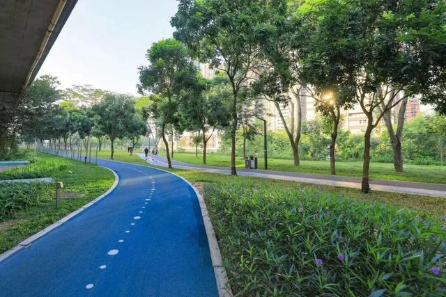 前海看海黄金季来啦，不出发真的会后悔！