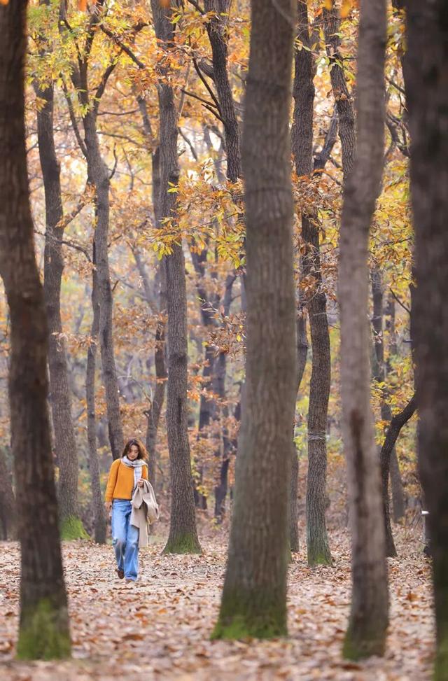 “焦糖色秘境”上线！超级出片！日照这里错过再等一年！