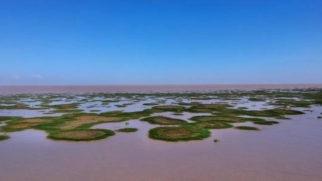湿地、日出、星空、美食……来自这里的邀请函是否让你心动？