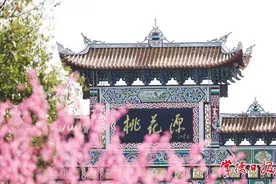 春和景明，桃花源里赏花正当时图片