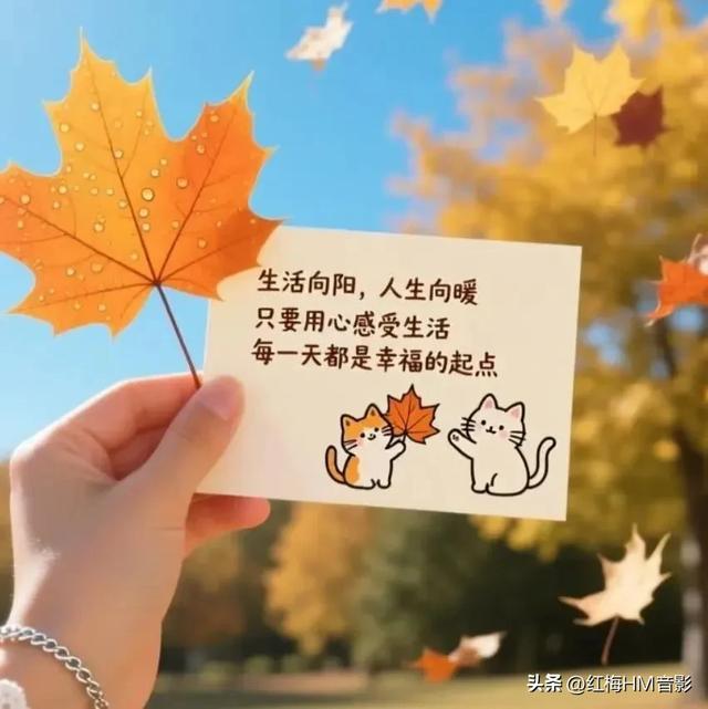 人生感悟：看淡人间事 释怀心中念