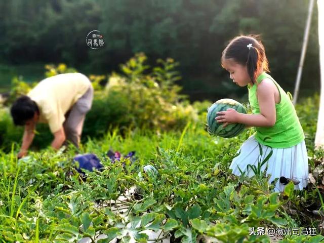 【行走徽州227】芳塘：许是半亩方塘的传承，明经胡有人高中传胪
