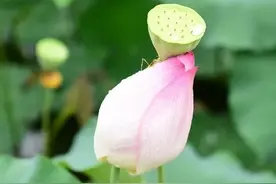 无论在什么场合，都要懂得“藏”好自己图片