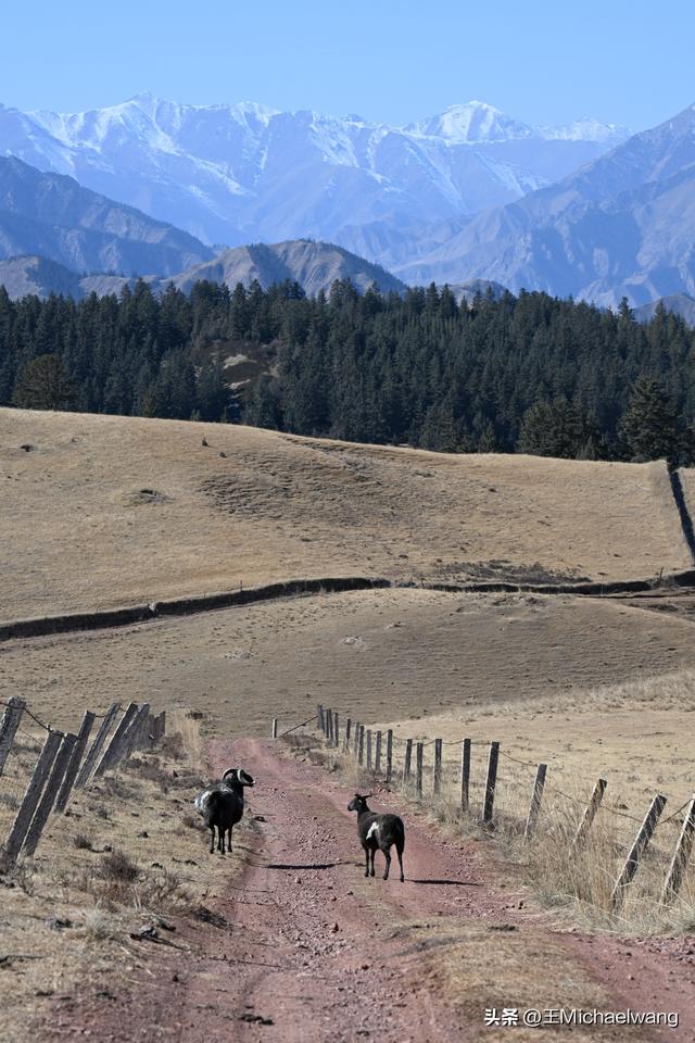 古意秋风三万里（D20）-从临泽县到祁连县