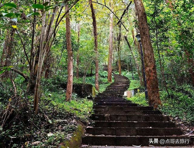 成都爬山徒步线路，全部免费，魅力不可挡，尽享山野宁静与清幽！