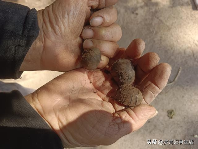 我妈安排的事是我支持的我就会满心欢喜地去做，不支持的就很反感