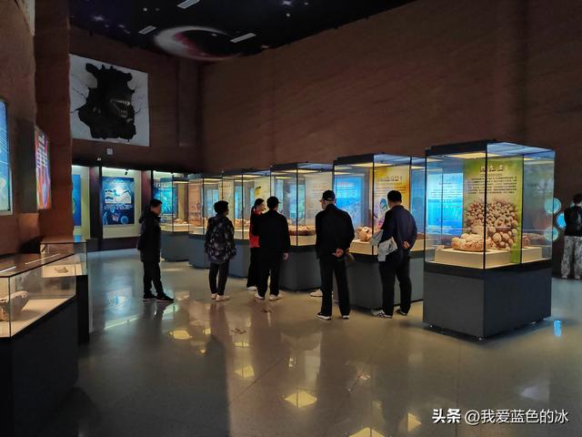 来河源才知道河源是中国恐龙之乡，挖掘出的恐龙蛋超级多