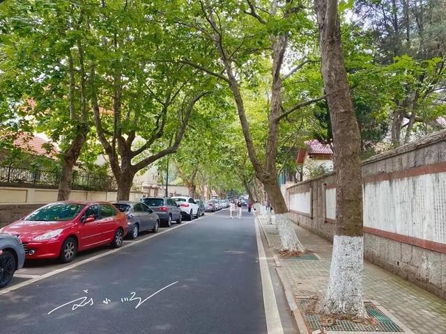 山东“第一城”青岛：既是海滨旅游胜地，GDP更超省会济南？