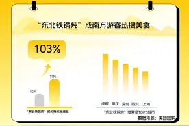 “大鹅先飞”！ 东北铁锅炖成南方游客雪季热搜美食图片