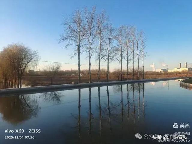 初冬北京朝阳坝河金盏淀：清寒里的静美画卷｜申艳娟