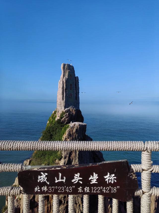山东荣成：天鹅与海鸥齐飞，这座低调滨海城，藏着北纬37°的浪漫