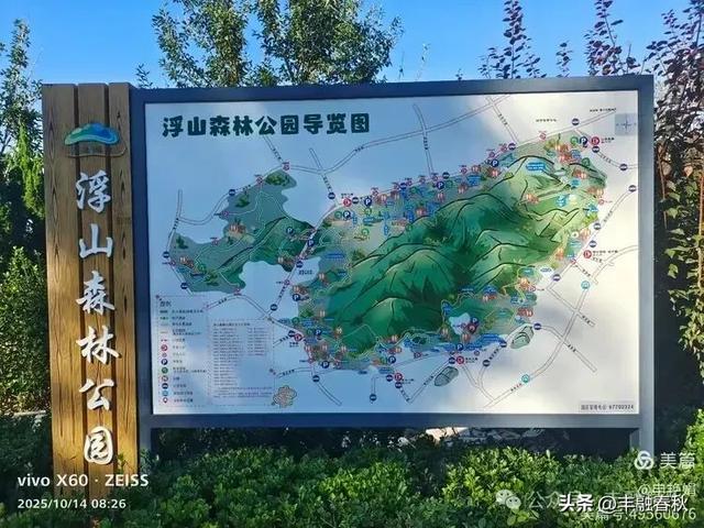 浮山漫记：藏在青岛城央的自然诗篇｜申艳娟