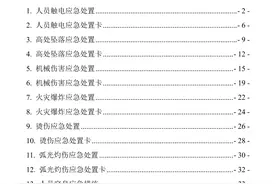 应急科普丨500项应急处置预案、演练方案、脚本、记录大全图片