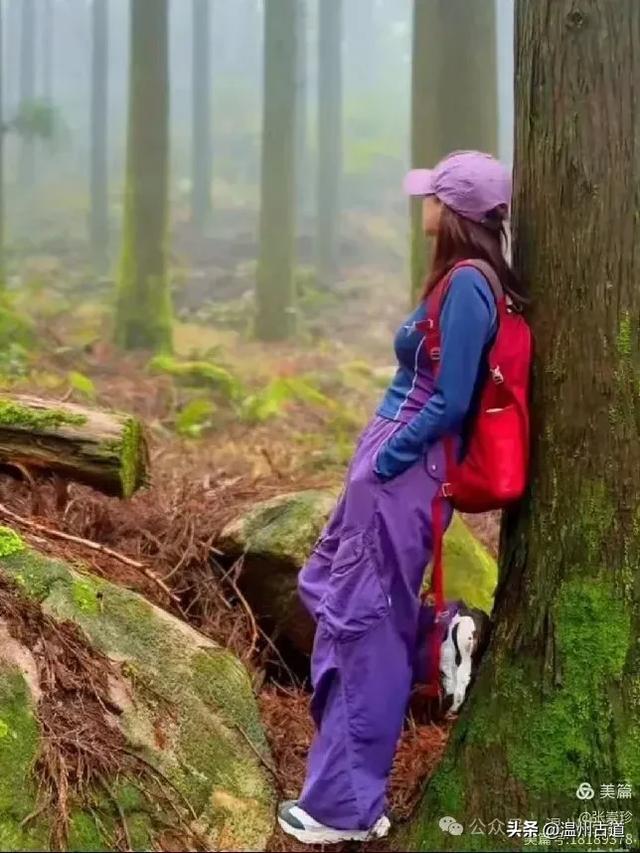 周末徒步去!这个有"温州版武功山"之称的名山,你可要去爬一次