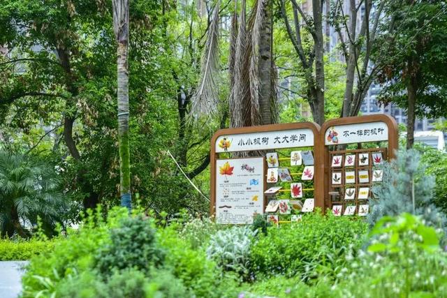 成都这些地方免票耍！首个秋假太巴适了