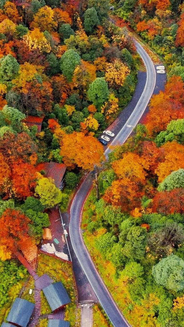秋假免门票！抓住秋天的尾巴~来龙苍沟秋假赏秋领限定奖牌！