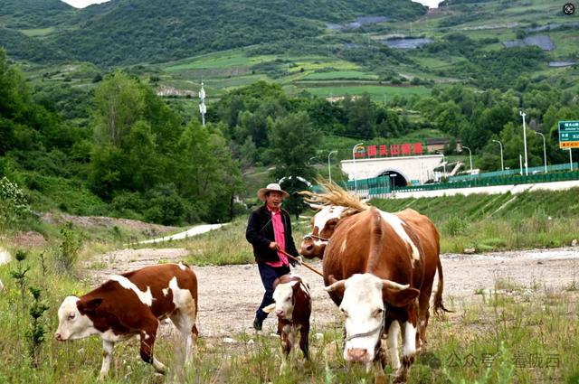【图观陇西·新视角】陇西县碧岩镇：天然氧吧中的生态文旅新体验